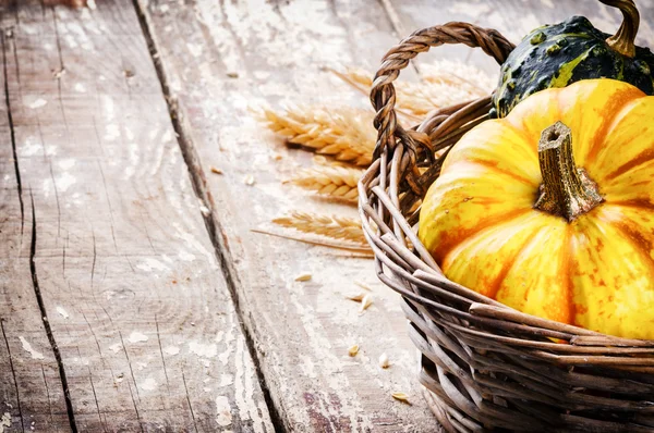 Herfst Stilleven met pompoenen — Stockfoto