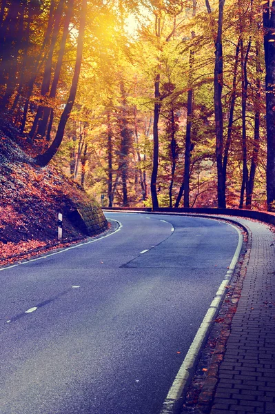 Autumn landscape with curvy road — Stock Photo, Image