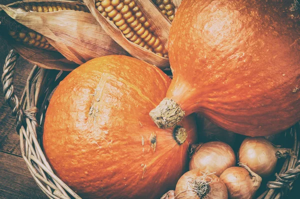 Autumn harvest setting with pumpkins and corn — Stock Image Autumn harvest setting with pumpkins and corn Stock Photo