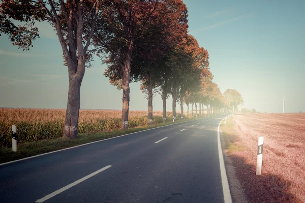 Paisagem de outono com estrada rural — Fotografia de Stock