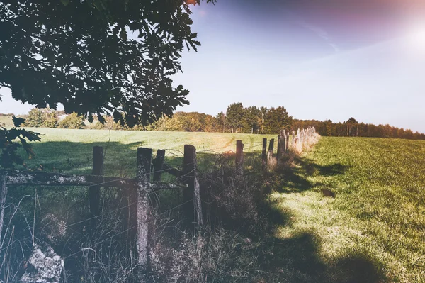 Countryside landscape with old wooden fence — Stock Photo, Image
