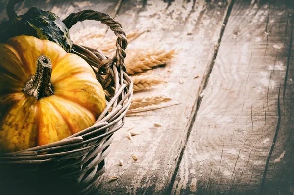 カボチャと秋の静物 — ストック写真