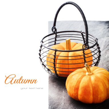 Sonbahar natürmort küçük kabak ile