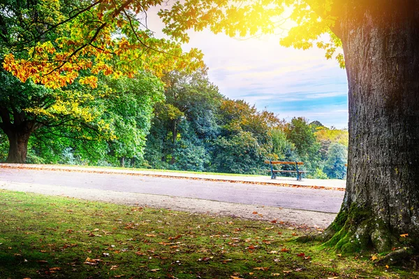 Autunno nel parco cittadino — Foto Stock