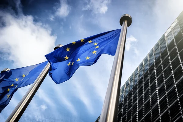 European Union flags — Stock Photo, Image