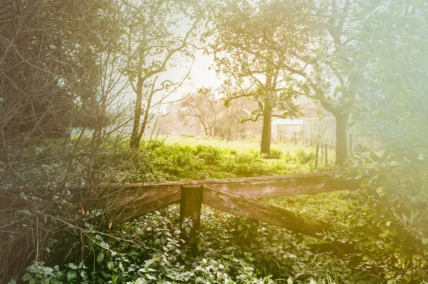 Countryside landscape with wooden fence — Stock Photo, Image