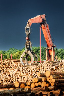 İş yerinde yükleme makinesi