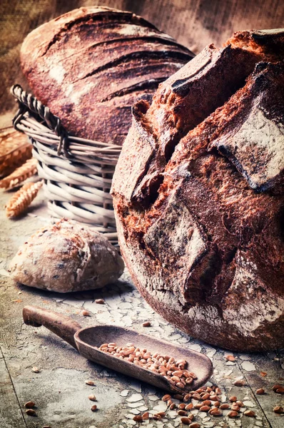 Selection of freshly baked bread — Stock Photo, Image