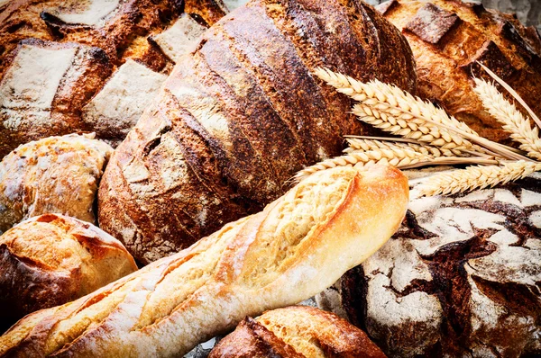 Rustik çeşitli taze ekmek ile ayarlama — Stok fotoğraf