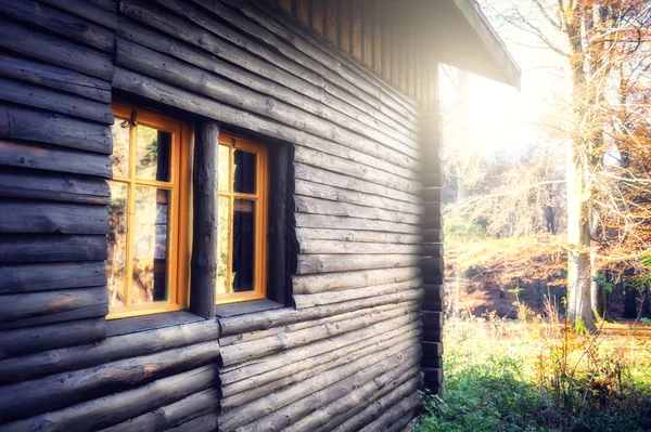 Wooden cabin in autumn forest — Stock Photo, Image