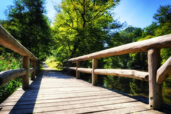 Holzbrücke über den Waldfluss — Stockfoto