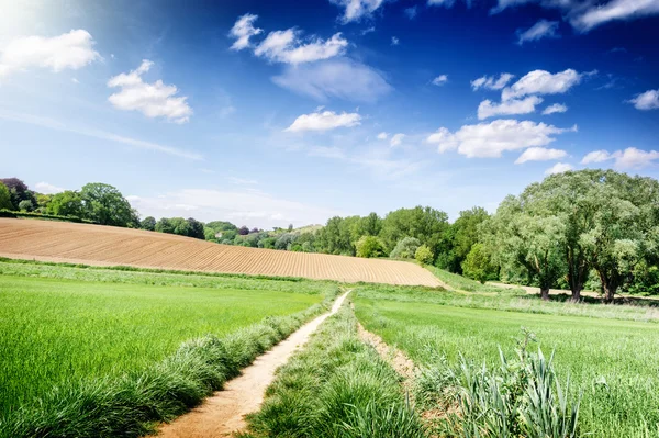 Sommar landskap med landsbygden fält — Stockfoto