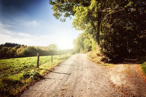 Paisagem de outono com estrada rural — Fotografia de Stock