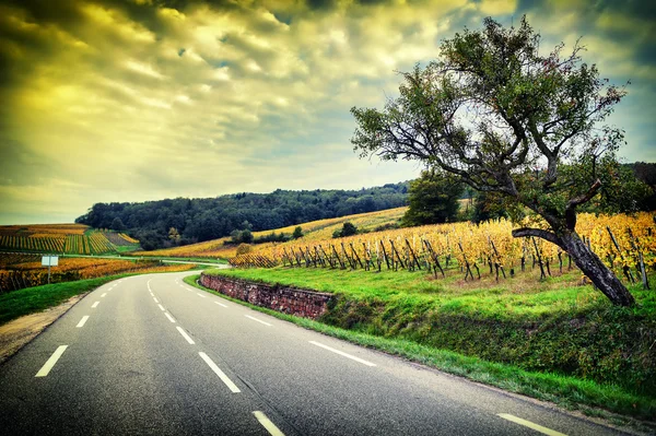 Curvy road at autumn sunset — Stock Photo, Image