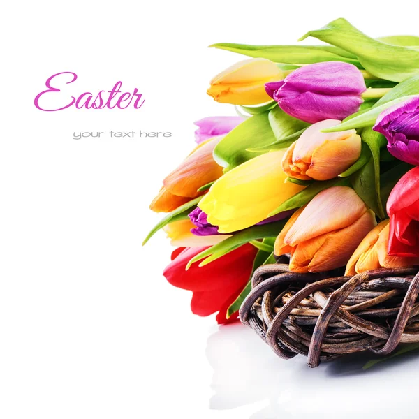 复活节的设置与色彩艳丽的郁金香 — 图库照片
