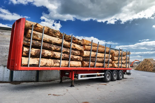 Trucks charged with wood logs — Stock Photo, Image