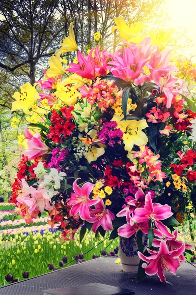 Various flowers in outdoor setting — Stock Photo, Image