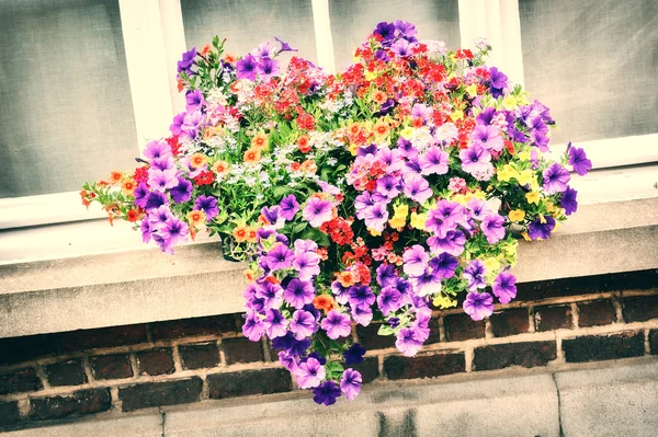 House window with colorful petunias — Stock Photo, Image