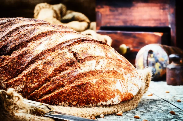 Taze pişmiş ekmek somun — Stok fotoğraf