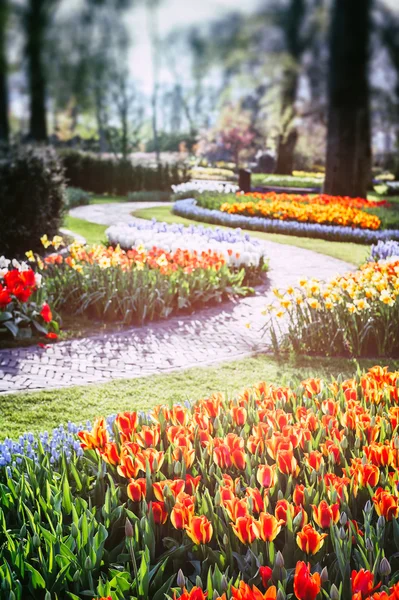 Paisaje de primavera con callejón parque — Foto de Stock