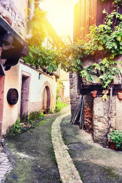 Úzká ulice ve starém městě, Alsasko — Stock fotografie