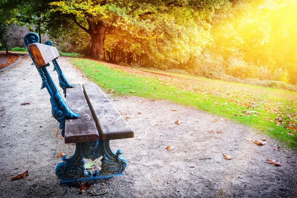 秋の都市公園における孤独なベンチ — ストック写真