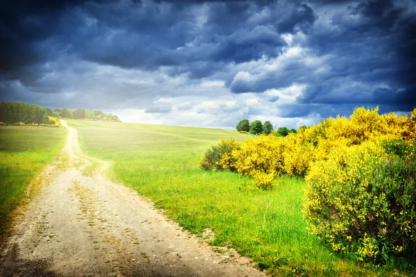 Beautiful summer landscape with country road — Stock Photo, Image