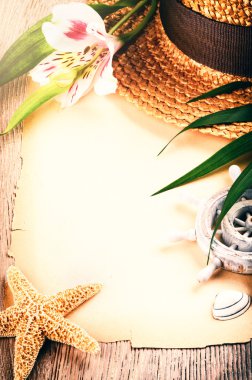 Yaz tatili geçmişi