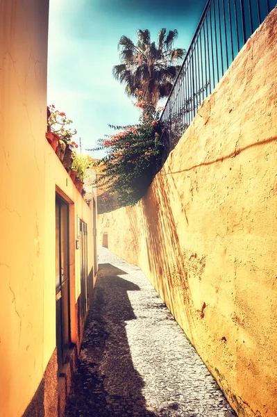 Paysage urbain avec rue étroite à Funchal — Photo