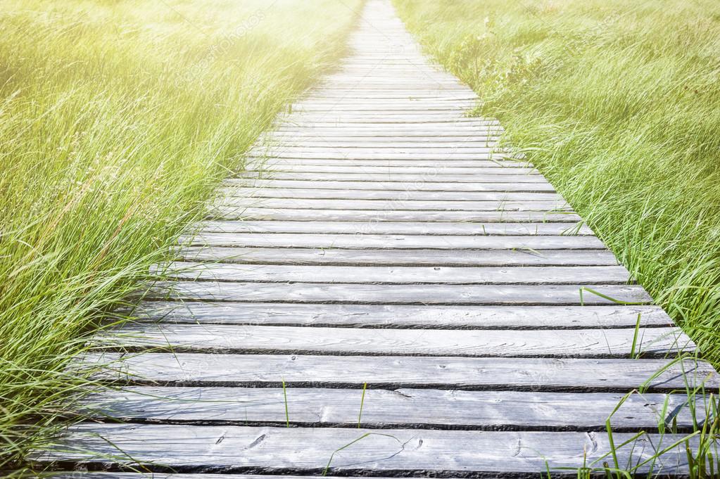 Wooden plank board walkway