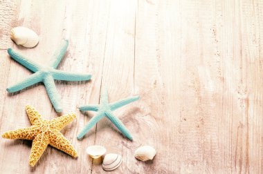 Deniz kabukları ile yaz ayarı