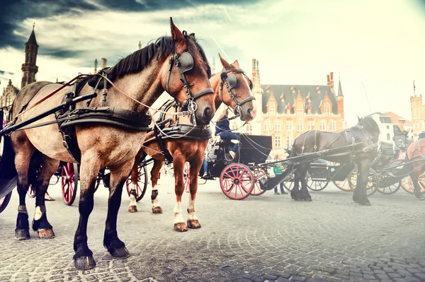 Carruajes tirados por caballos en la plaza del Mercado Viejo —  Fotos de Stock