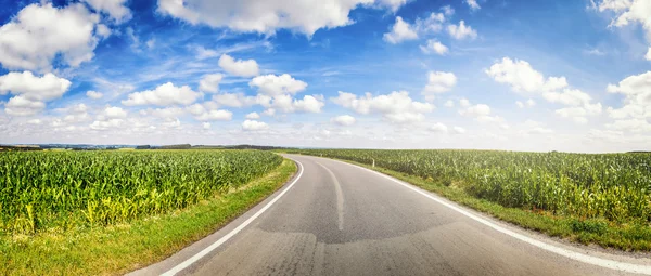 Campos de estrada e de milho do país — Fotografia de Stock