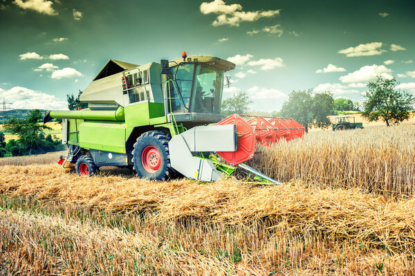 комбайны, работающие на пшеничном поле