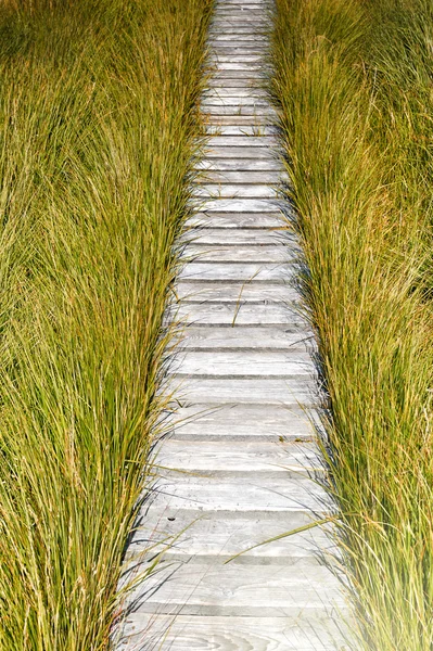 Wooden plank board walkway — Stock Photo, Image