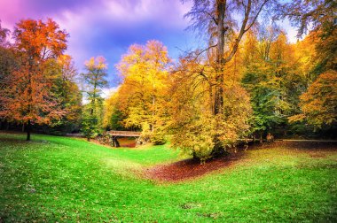 Güzel sonbahar manzara Şehir Parkı içinde