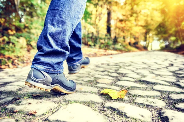 Herbstlandschaft mit Wanderern auf Waldweg — Stockfoto