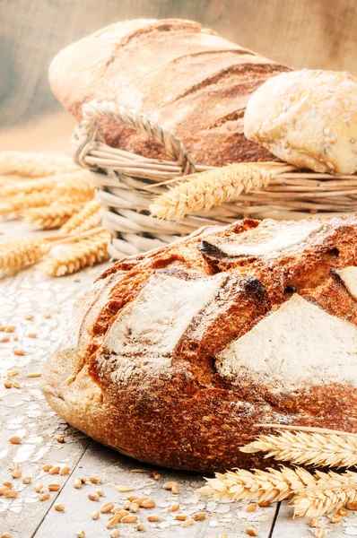 Pane appena cotto — Foto Stock