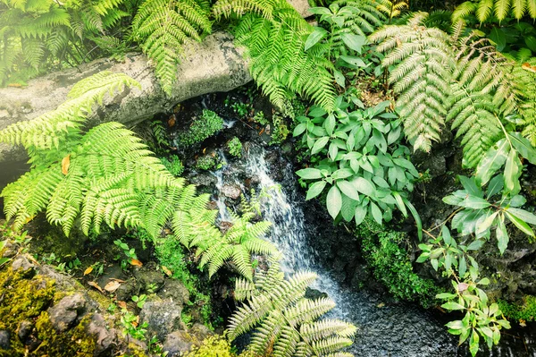 Kleine waterval in herfstbos — Stockfoto