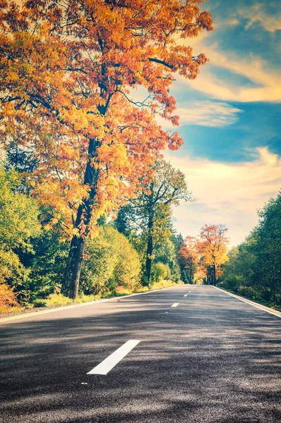 Outono paisagem com estrada vazia — Fotografia de Stock