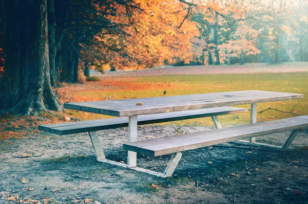 Osamělý piknikové místo v podzimním parku — Stock fotografie