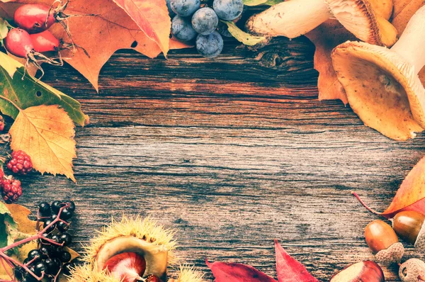 Marco de otoño con bayas silvestres y champiñones —  Fotos de Stock