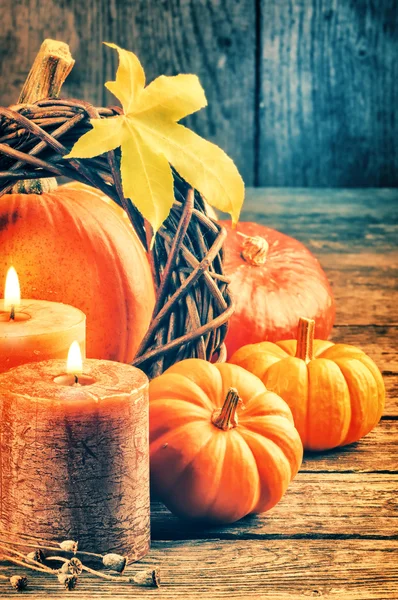 Autumn still-life with pumpkins — Stock Photo, Image