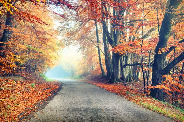Autumn landscape with country road — Stock Photo, Image