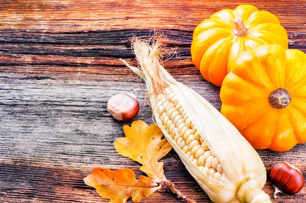 Höstens Stilleben med pumpor och majs — Stockfoto