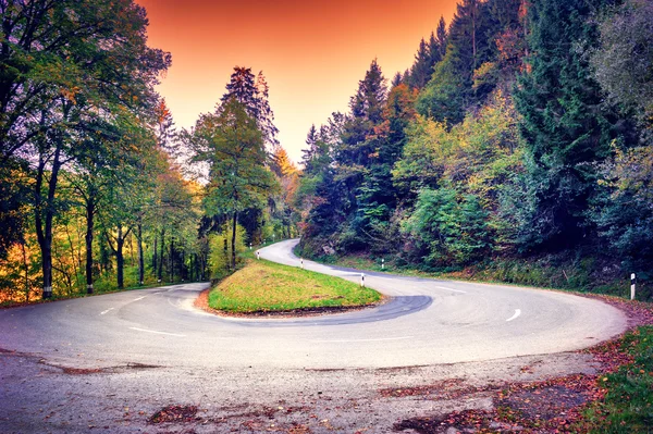 Beautiful autumn landscape with curvy road — Stock Photo, Image