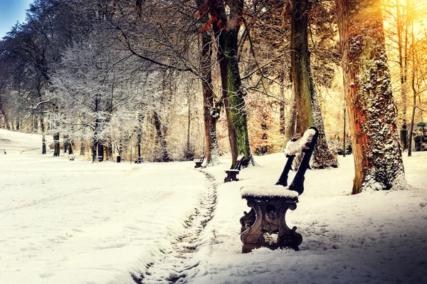 Winter landscape with snow covered park — Stock Photo, Image