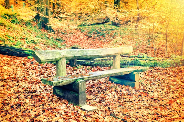 Samotny drewniane ławki w jesień las — Zdjęcie stockowe
