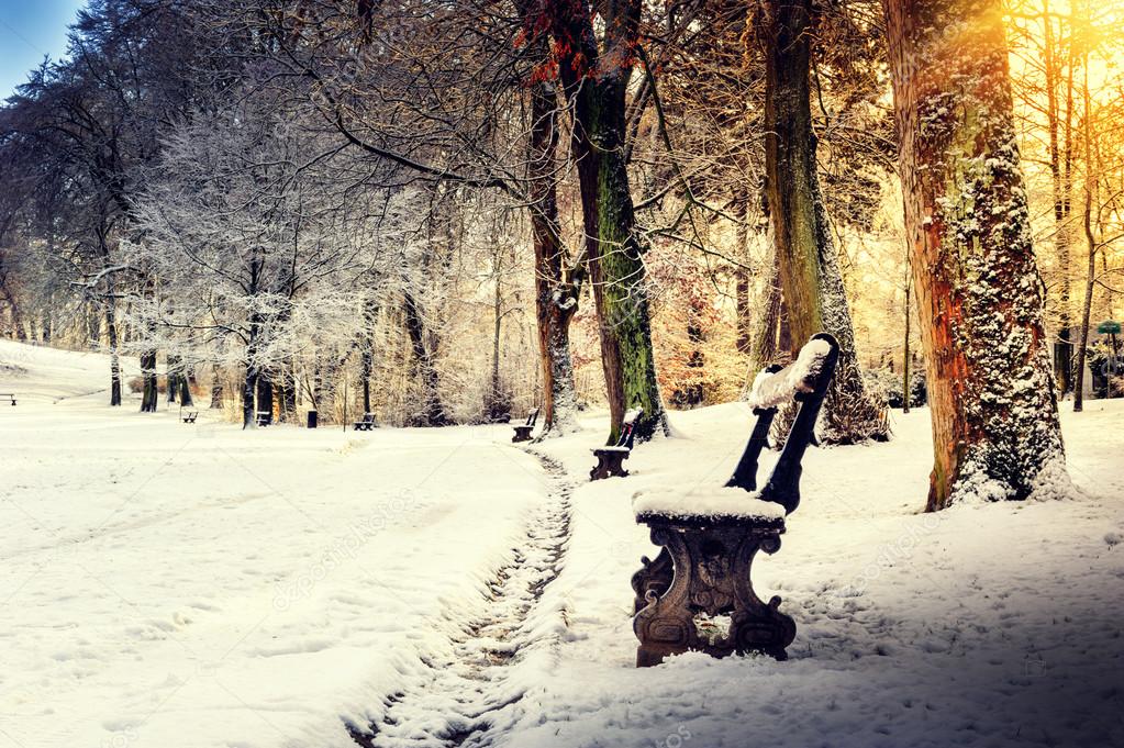 Winter landscape with snow covered park