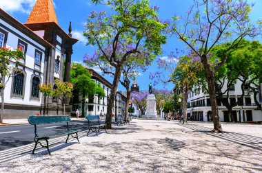 Funchal cityscape ana cadde ile